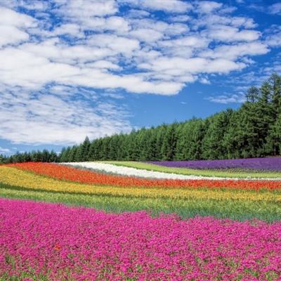 3月24日增减持汇总：比音勒芬披露增持情况，泰嘉股份等6股拟减持（表）