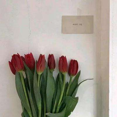 老人无偿照顾智力缺陷邻居母子23年