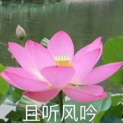 预测市场被视为塑造危机信号