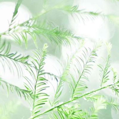 leyu乐鱼体育网页旗舰版