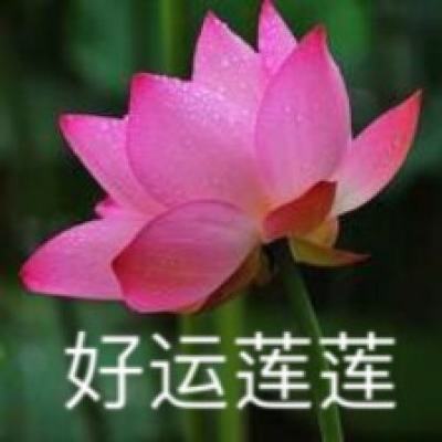 张怡宁第三次担任央视解说 笑容变多身材未变