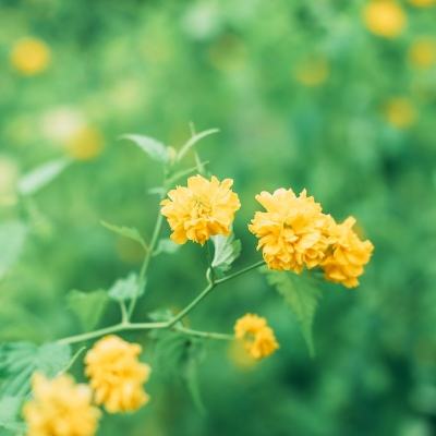 多措并举强宣传筑牢全民防护网